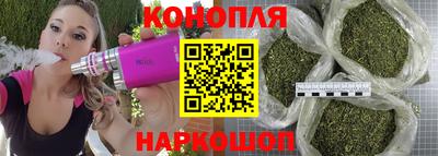 прущие грибы Коммунар