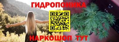 mix Кингисепп