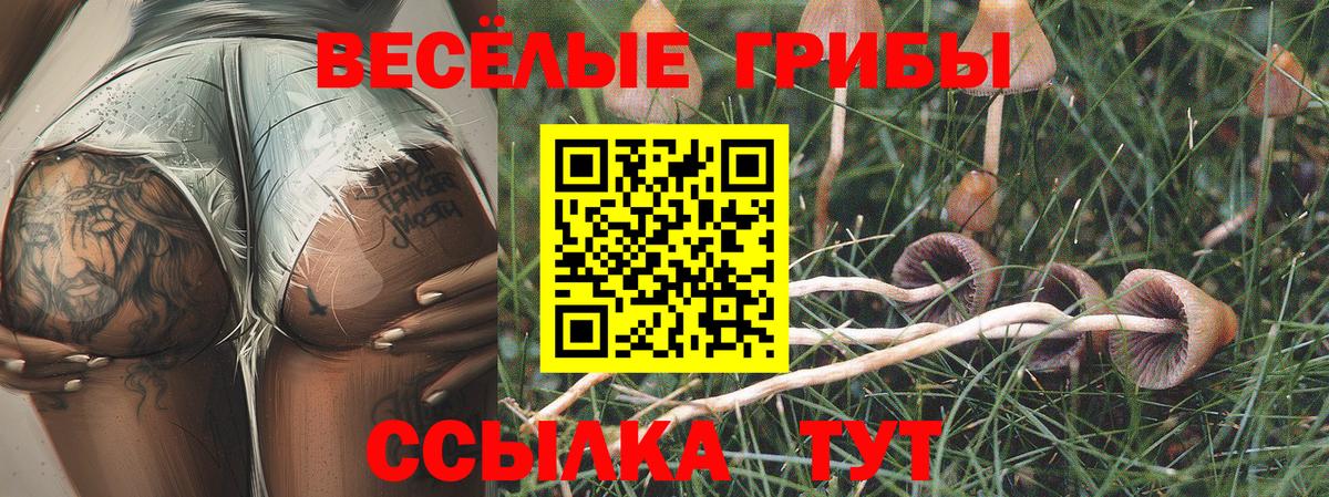 Крымск  Псилоцибиновые грибы Magic Shrooms  Вход с VPN 