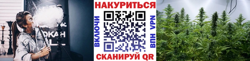 Шишки марихуана гибрид  OMG рабочий сайт  Крымск 